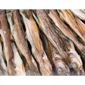 Fresh 명절 제수용 명태 반건조 절단코다리 코다리찜용 1kg