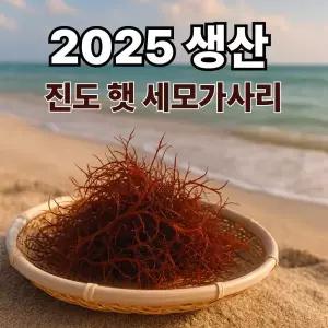 진도 자연산 말린 세모가사리 가시리 해초 비빔밥 샐러드 재료 100g 2025년 햇