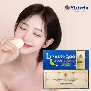 (공식판매처)오리지널 스웨덴에그팩 지성용 6P (300g)