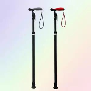 [노인장기요양] 이스틱-B 복지용구 일자형 등산용 노인 어르신 지팡이 보행보조용품