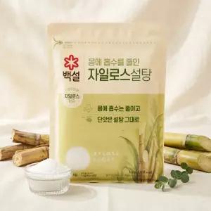 백설 하얀 자일로스 설탕 1KG