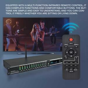 전문 홈 프리 스테이지 이펙터 마이크 KTV 디지털 리버브 USB 블루투스 하울링 카라 프로세서