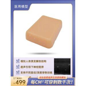 초음파 유도연습 모형 정맥주사모형 가이드 마네킹 유방외과 타겟 연습용 병원 천자