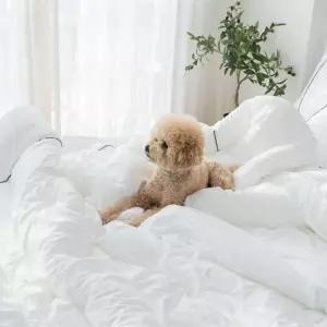 알러가드 호텔 침구세트SS (이불1+패드1+베개커버1)