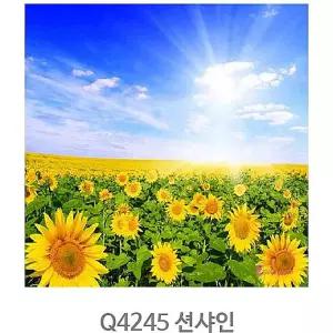 명화그리기 세트 해바라기 페인팅 diy 피포 유화 그림 색칠 아크릴화 액자 초보 하기 쉬운 취미 따라klm331