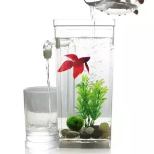 자동 청소 어항 물고기 금붕어 구피 해수어 베타 치어 반응형