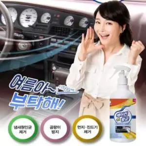 자동차 에어컨 필터 세정제_휴대용/에어컨/히터/냄새/곰팡이/먼지/진드기/제거/청소/클리너/실외기/세정제