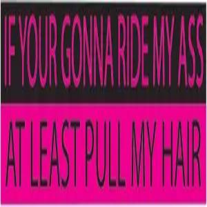 여성용 로그 리버 택티컬 10인치 x 3인치 대형 재미있는 오토 데칼 범퍼 스티커 만약 당신이 내 엉덩이를