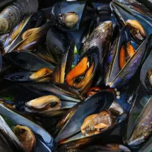 당일조업 통영 세척 다듬이 홍합 5kg