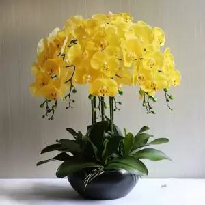 조화 화분 서양란 인조 탁상용 사무실 가짜꽃 행운 개업