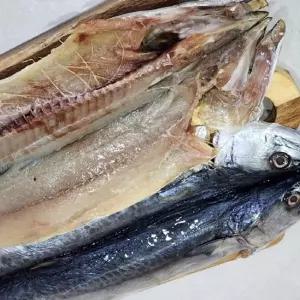 제주 자연산 손질 5미 국내산 삼치 생선 냉동 밥반찬 손질 초등학생반찬 국내산 고소한 냉동 조림용