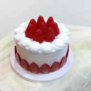 케이크 모형 학교행사 가짜 케익