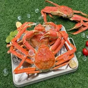 S급 러시아 박달대게 자숙 제철 홍게 마가단 수율보장 붉은 연지 활 3kg, 1개