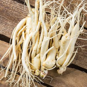 금산 인삼 세척 난발삼 대 375g 5년근 씻은삼 진공포장 뿌리많은 인삼차 국산 국내산 삼 수삼 원삼 100년