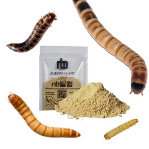 엔비 nb 밀웜 슈퍼밀웜 버팔로웜 미니웜 흔적날개초파리