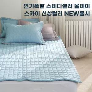 올데이 소프트마이크로 카페 겸 패드데일리침대 다용도 페드 사계절 이불 깔개 심플