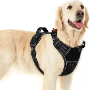 대형견을 위한 이 반려견 하네스 퀵 릴리스 버클 3개로 간편하게 착용 가능 MOLLE 시스템으로 조절 가능한