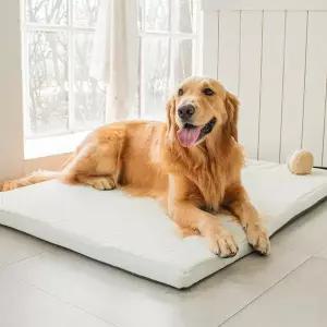 [ 초코펫하우스]강아지침대 대형견 방석 사이언스 매트리스2.0 중형
