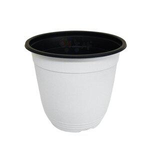 [기타]이색화분 흰색 15호 포토 용기 포트 모종 교육 화분