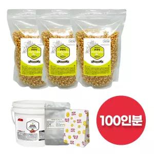 오리지널 팝콘 만들기 재료 100인분 세트 (팝콘옥수수+오일+소금+봉투)
