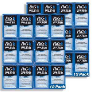 PG피앤지 정수패킷 정수제 물 정화제 분말 Purifier of Water Packets 12개세트 2팩
