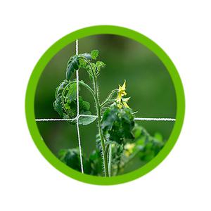 식물그물 넝쿨 호박 오이 네트 지지대 텃밭 원예 정원 그물망 5M