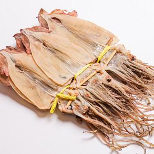 포항 구룡포 건오징어 20마리 원양 마른오징어 건조오징어