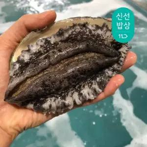 국산 완도 활 전복 대큰 10~12미 횟감용 구이용 1kg 전복 /산소포장/손질용 솔 포함