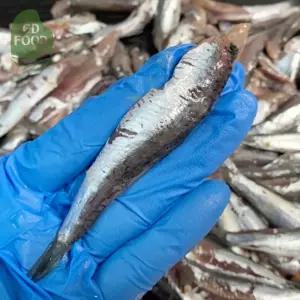 건담농수산 거제도 손질생멸치 생물멸치 횟감용 조림용 최상급 생멸치회 쌈밥용 회멸치