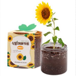 식물재배키트 화분 관찰용 어린이 유아 놀이식물 식용 다양 정서 심신 안정 식물키우기