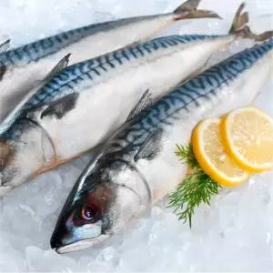 제주바다 손질 고등어 100-120g 10팩