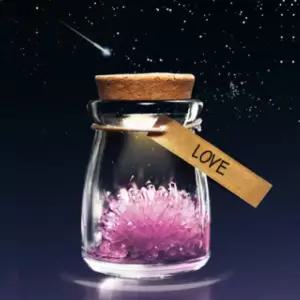 LED 수정키우기/1인용/크리스탈 키우기/결정체 만들기 과학실험키트