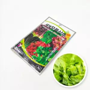 화분 상추 식물 씨앗 텃밭 원예 종자 모듬 정원용품 홈가드닝 세계채소 키우기쉬운 쌈채소모종