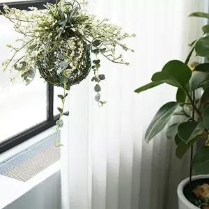 허전한 공간에 장식하는 더가든 라벤더 볼 대