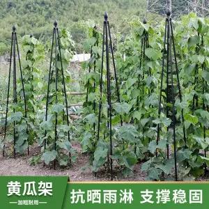 넝쿨 지지대 덩쿨 식물 지주대 화초 화분 원예 정원용 덩굴 사각형 발코니용 콩과 오이 클레마티스