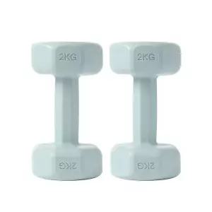 컬러 육각 바디필 2개세트(2kg) 덤벨 (블루) 아령