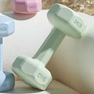2개세트(3kg) 육각 아령 덤벨 컬러 (그린) 바디필