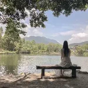 큐슈 4일 #뉴카멜리아호IN-부관훼리OUT #온천호텔숙박 #힐링스팟 #자유중식 #다채로운 즐거움