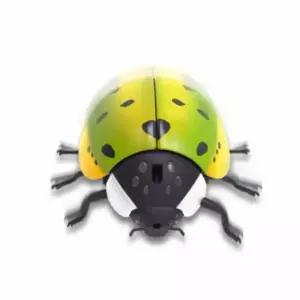 크레이지 레이디버그 무당벌레장난감 곤충모형