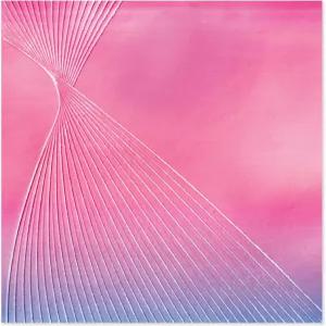 시직스 3D 텍스처 인상 엠보싱 폴더 코스모폴리탄 프렌치 트위스트 스테이시 파크 원 사이즈 멀티컬러