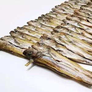 대구줄노가리 2줄(특 40마리)