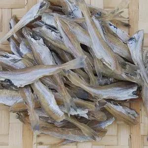 대구앵치 1kg / 반건조 노가리 앵치 한입