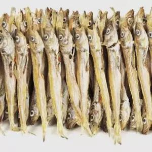 줄노가리 100마리 약 16cm 말린/건조 노가리 건어물