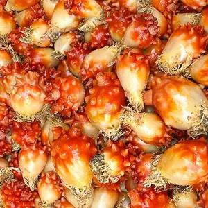 [지투지샵]국내산 통멍게 3kg