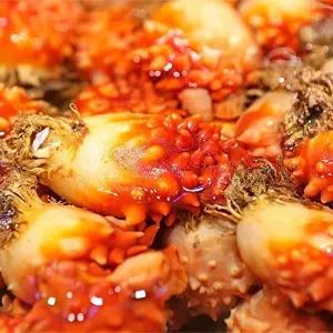 [자연맛남][산지직송] 통영 싱싱한 활 멍게 2kg (kg당7-10미)