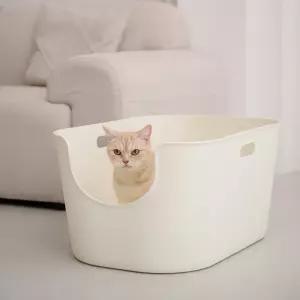 강집사 고양이 초대형 화장실 다묘 추천 슈퍼코팅 4중케어 항균 1개