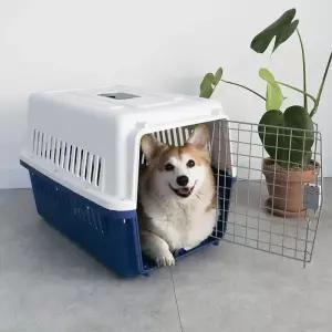 딩동펫 반려견 이동장 켄넬 이동 안전 용품 항공 450 1개 MNS