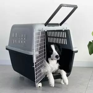 딩동펫 강아지 이동장 컨넬 캐리어 외출 용품 항공켄넬 500 1개 MNS