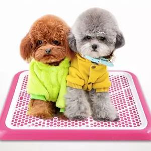 반려견 화장실 훈련 패드 배변판 강아지용소형 용품 애용품 애화장실 대형 애그물망 토일렛 가정용 동물 애