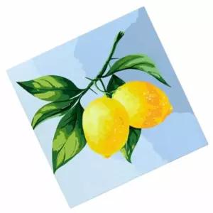 DIY 페인팅 그림 레몬 DIY명화그리기 취미색칠DIY그리기 DIY유화그리기 그리기세트 도안 그리기DIY 물감하